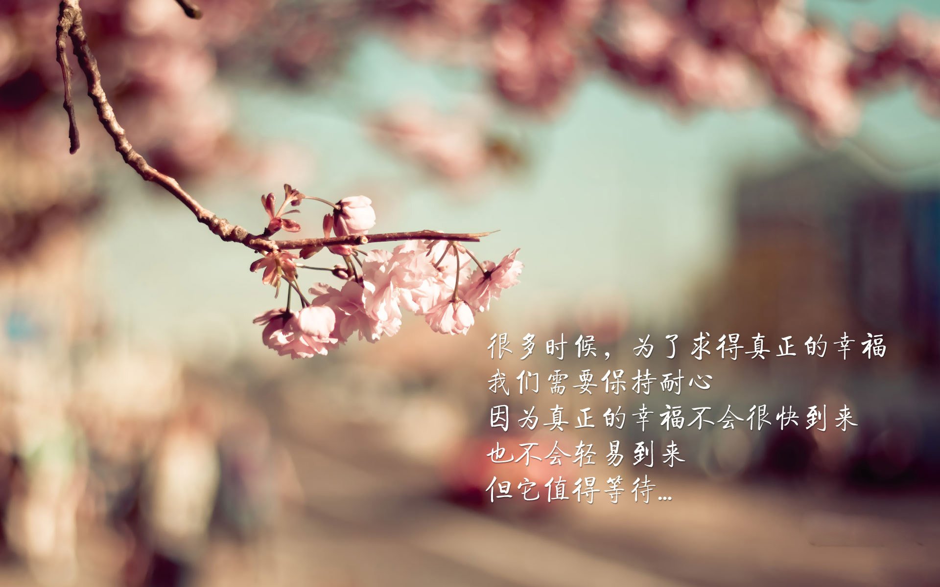 欧冠剧本由他书写，莱比锡是韩国球队的专供克星？莱万的大场面检测器与红牛的战术压制